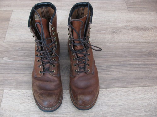 Red wings 2943 - wings,