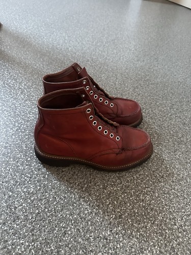 Red wing irish - wing, setter